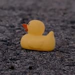 Kia Duck campaign thumbnail